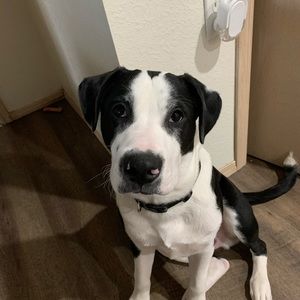 Meet your Posher, Elaina